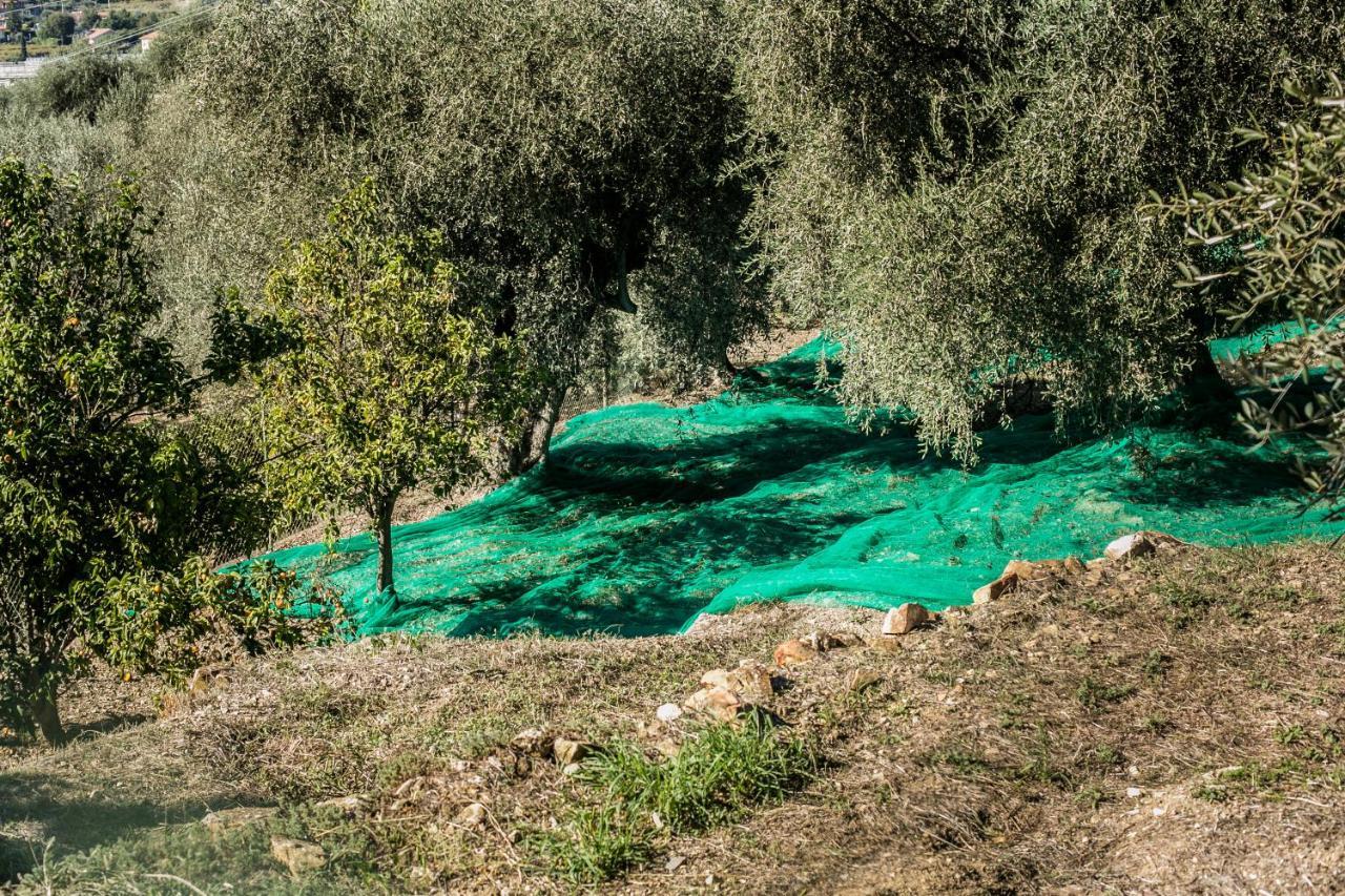 מלון Oneglia Le Raganelle מראה חיצוני תמונה